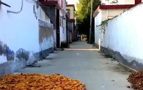 �Ĵ������־��׌ؚ����ס�·�