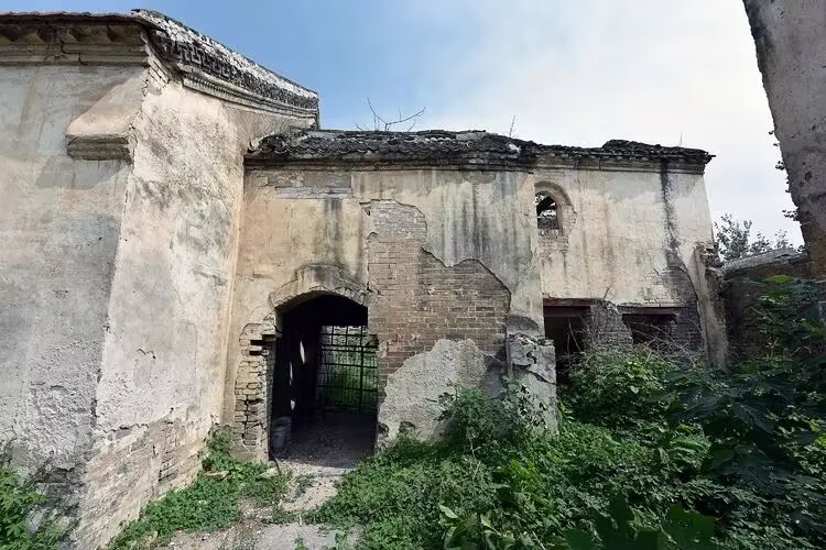 �Ž������o