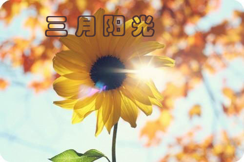 ����ꖹ�