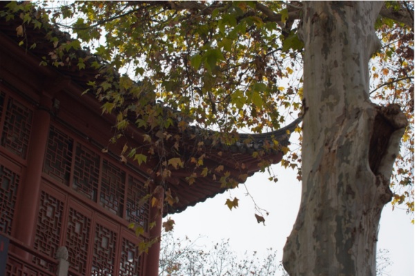 �ػ�ˮ�����������δ�롪�������R�������貽��ġ����`�F���Ͼ��з��z�{�л�ӈA�M�Y��
