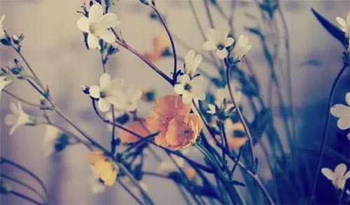 ǭ�|�������I���g�WԺ�͘I�ʼ��͘Iǰ����ô��