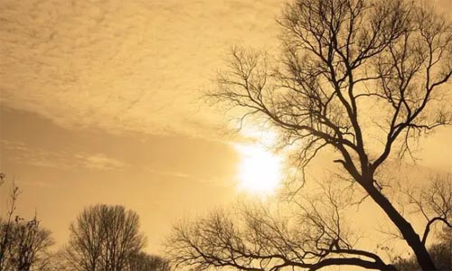 Щ�S����