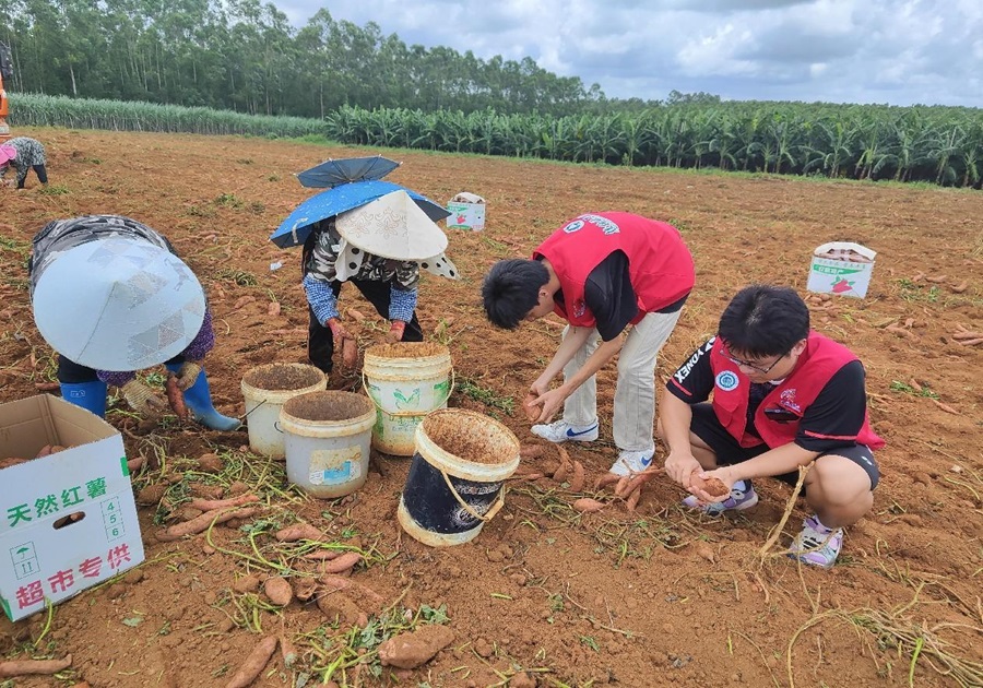 �𺽌W����ϵ�l�������L���d��D