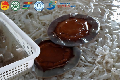 ̽�غ��ؼӹ��S��һ��ֱ���c�k�C�y�}�ƽ�