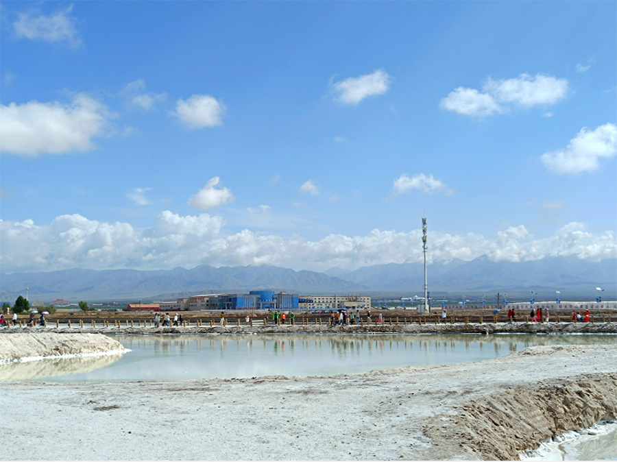 �Գ����B���o�����B���ΰlչ�������