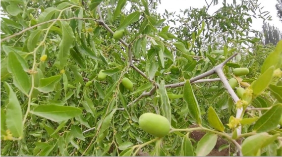 �ú��������D�YԴ�����l�l�����d����