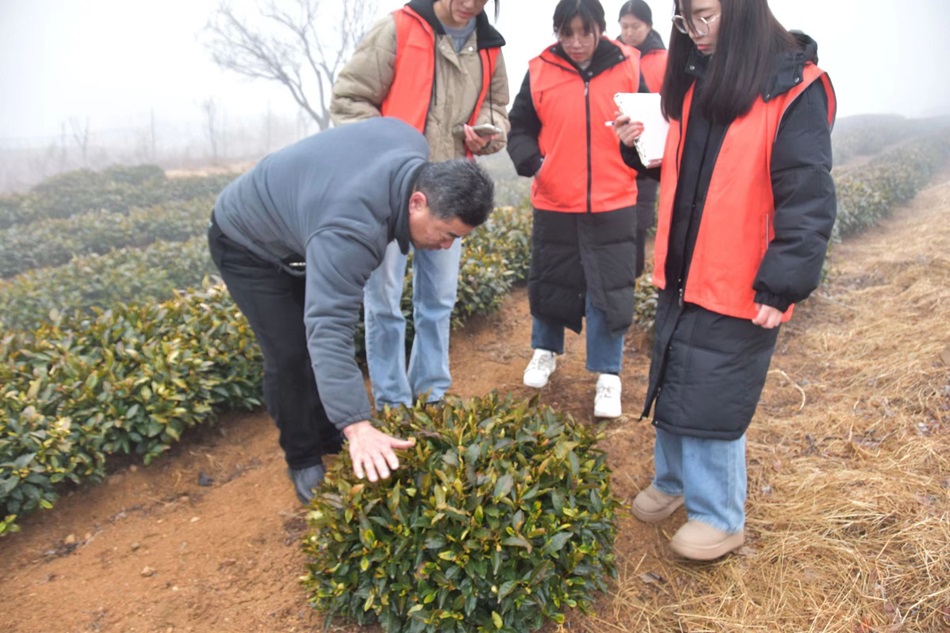 ̽���vʷƷ��퍣������Ļ��V�A��