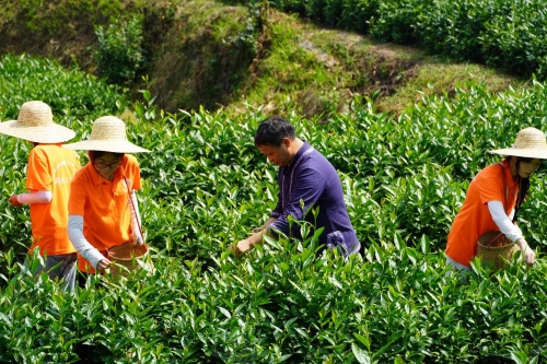 �ഺ��Ҋ���z�����Ϲ��̴�W�W��̽�ع���ë��ǧ�����
