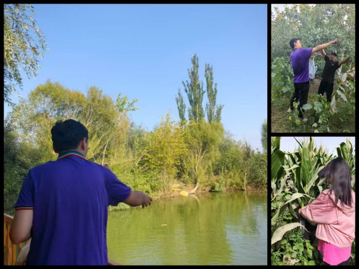 ���`�Y�T�����ի@�M�M��