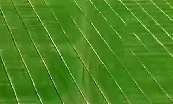 ���ݹ��WԺ���R�^����r������